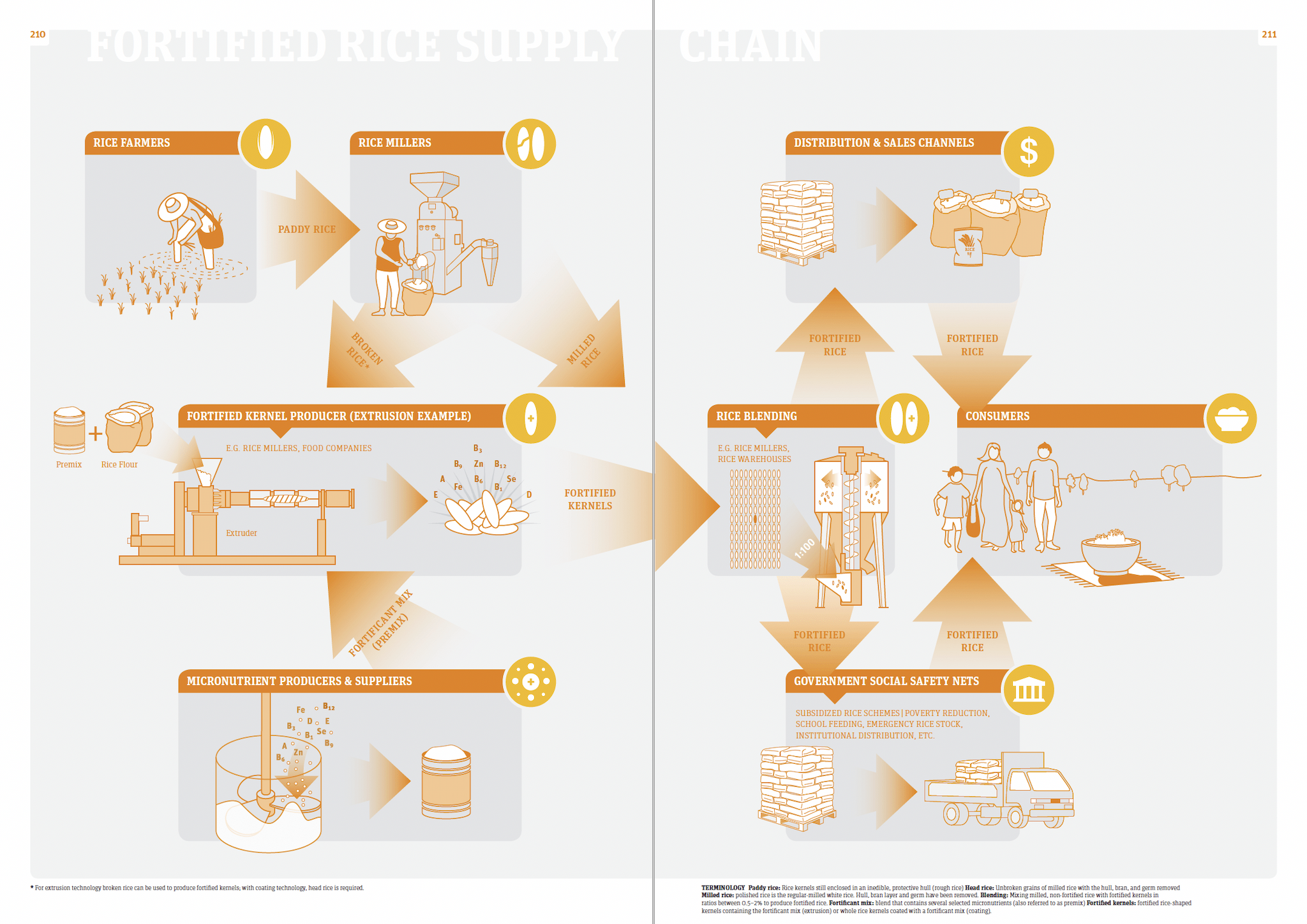 Fortified Rice Supply Chain